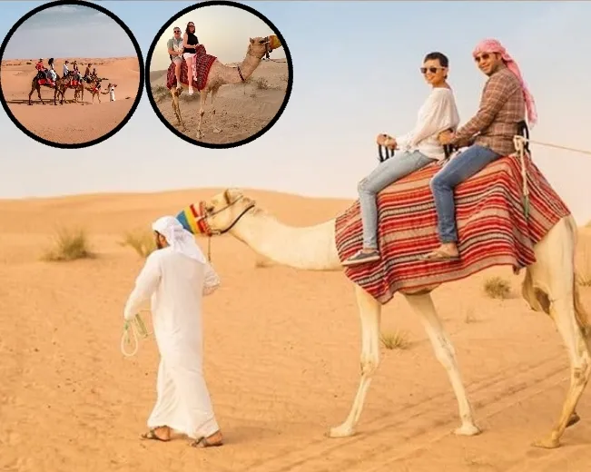 Dubai Camel Trekking Desert Tour